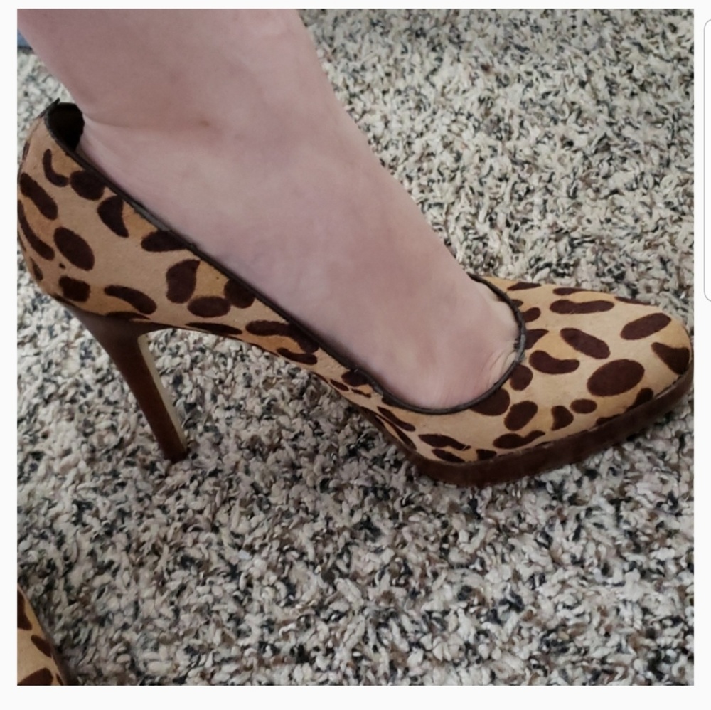 Steve Madden Leopard Print